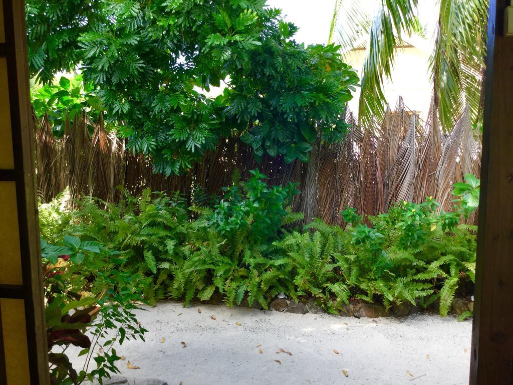 Hotel Fare Maeva Moorea Teavaro Exteriér fotografie