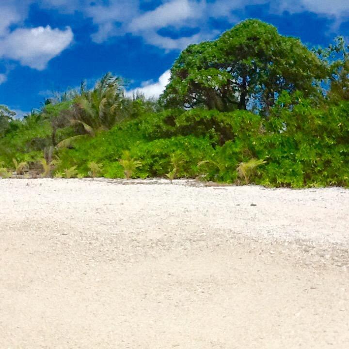 Hotel Fare Maeva Moorea Teavaro Pokoj fotografie